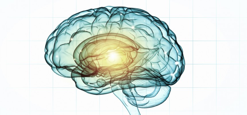 Sept conseils pratiques pour entretenir sa mémoire et prévenir Alzheimer