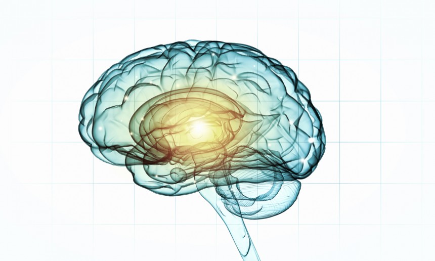 Sept conseils pratiques pour entretenir sa mémoire et prévenir Alzheimer