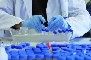 Alzheimer : Un laboratoire marseillais découvre une nouvelle piste de recherche