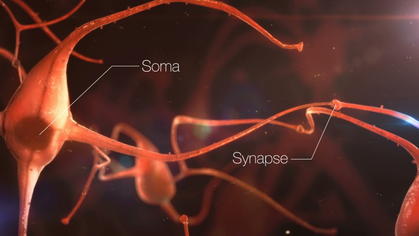 Alzheimer : nouveau regard sur les protéines grâce à la vision en 3D des synapses