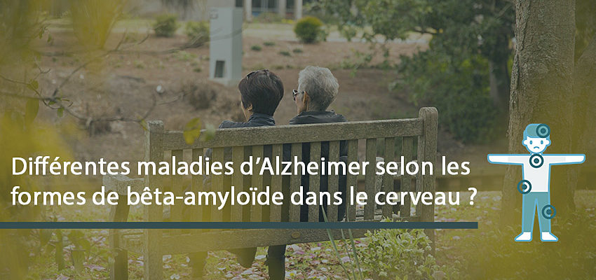 Différentes maladies d’Alzheimer selon les formes de bêta-amyloïde dans le cerveau ?