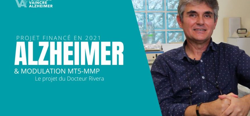 Moduler MT5-MMP : une nouvelle potentielle cible thérapeutique dans la maladie d’Alzheimer ?